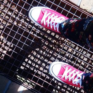 Converse All Stars Red Sneaker Footway