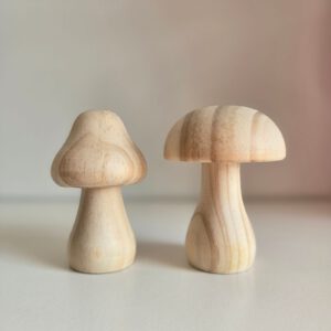 Action Knutselen houten paddenstoelen