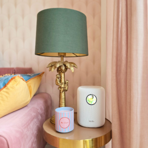 WiiM Sound Review - Slimme Speaker Compact alternatief voor Sonos